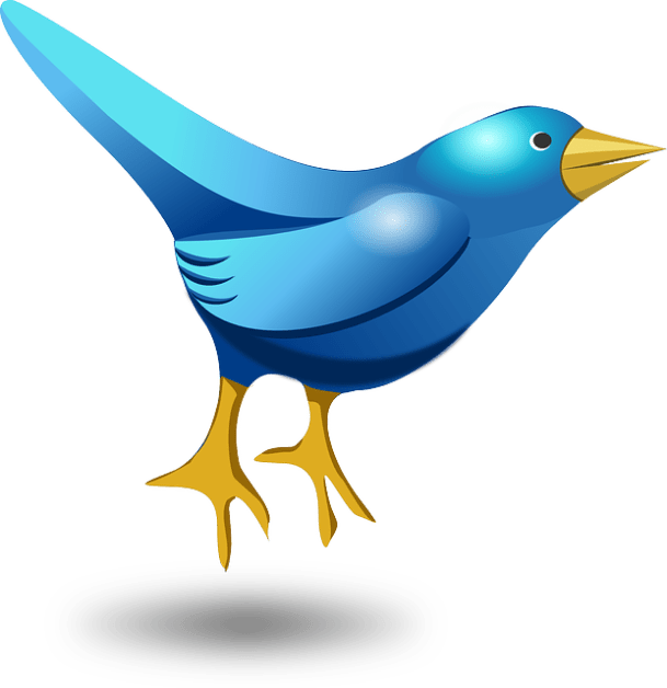 twitter bird optimised