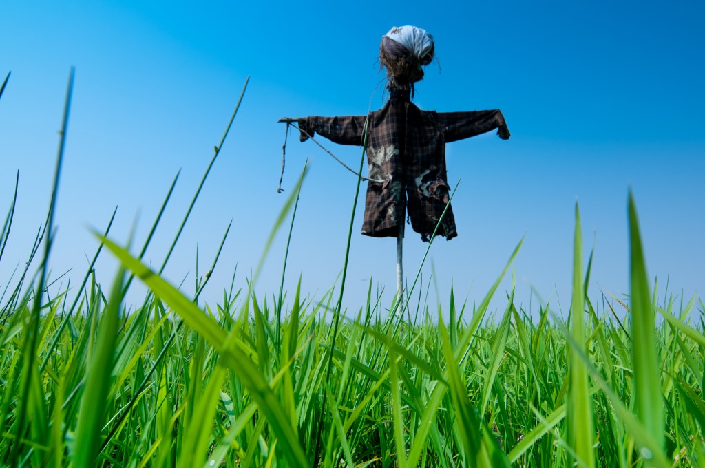 Scarecrow